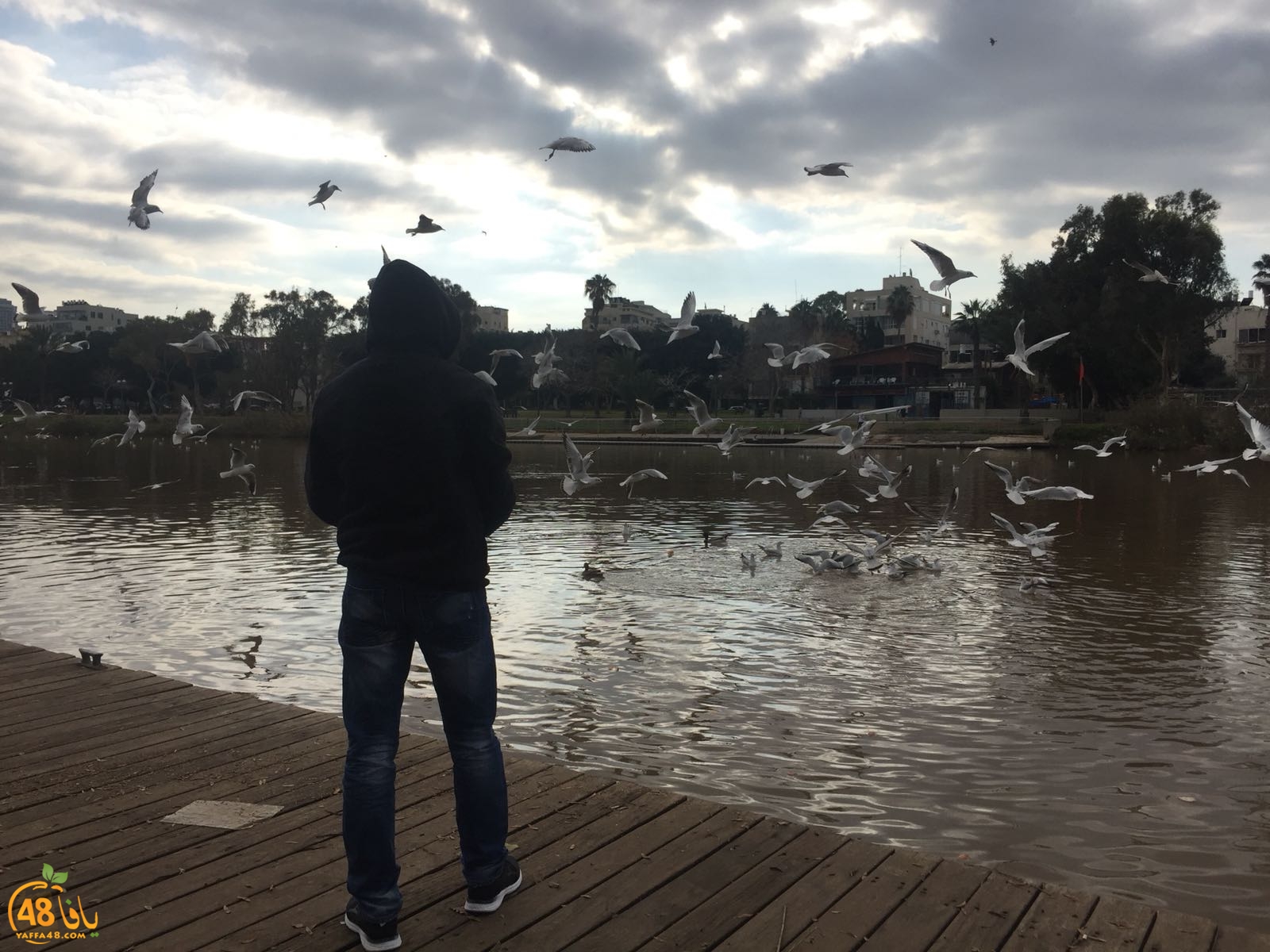 future jaffajh3 (13).jpg